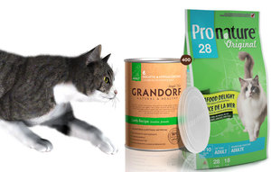 Преимущества кормов класса холистик Какой корм выбрать для своей кошки