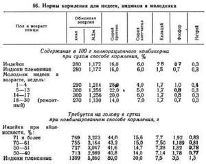 Описание особенностей и норм кормления индеек, индюков и индюшат