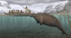 Охота людей на морских коров