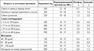 Питание кроликов