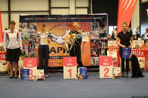 Награды аджилити Награды