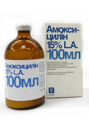 Антибиотики для собак