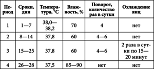 Как залодить яйца