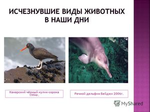 Какие животные уже вымирли